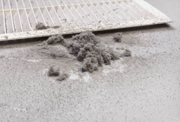 Best Home Air Vent Cleaning  in Columbus, GA